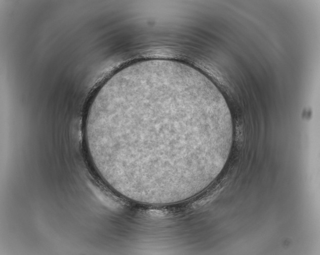 X0000093470302200710261049