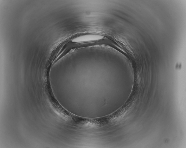 X0000093470303200710261049