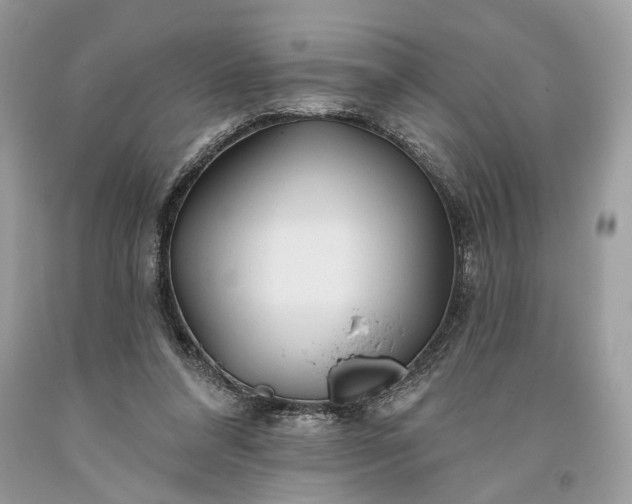 X0000093470304200710261049