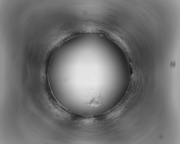 X0000093470306200710261049