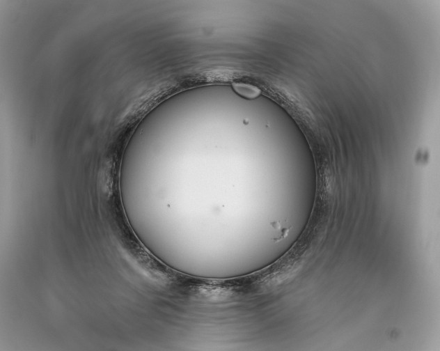 X0000093470311200710261049