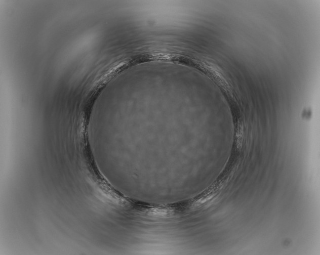 X0000093470314200710261049