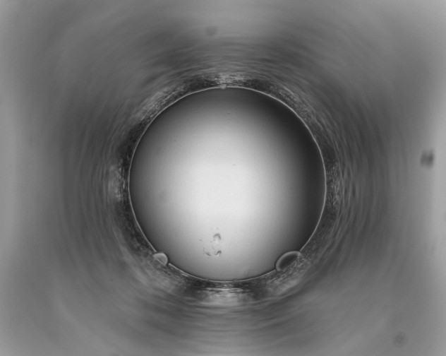 X0000093470316200710261049