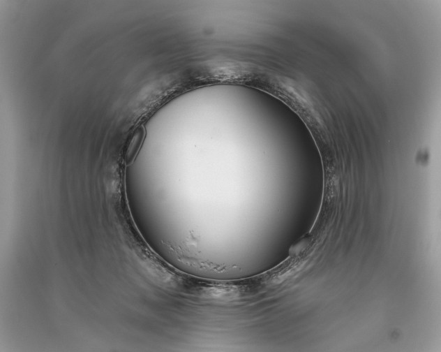 X0000093470317200710261049