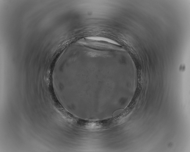 X0000093470319200710261049