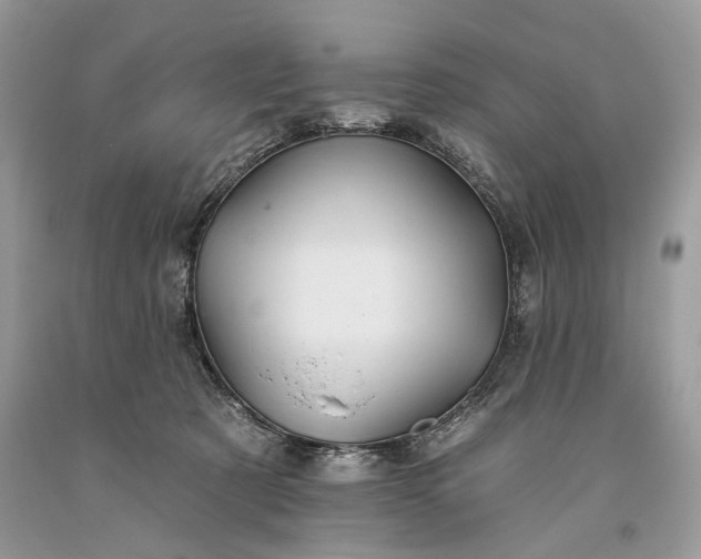 X0000093470321200710261049