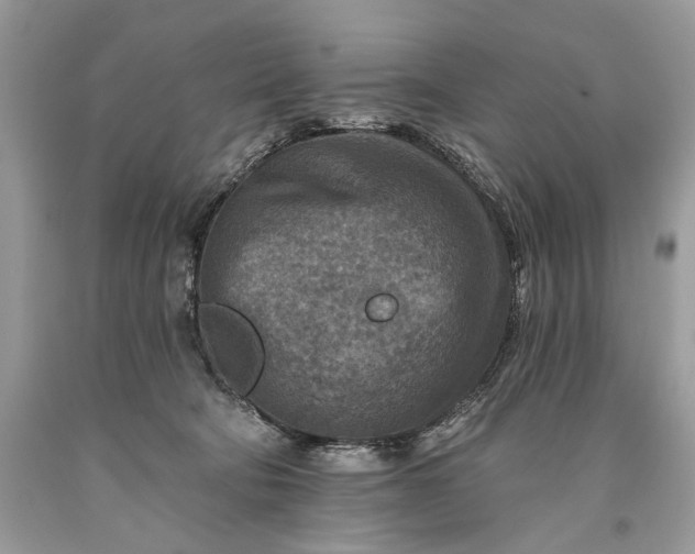 X0000093470322200710261049