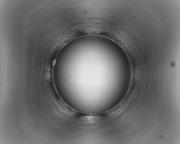 X0000093470323200710261049