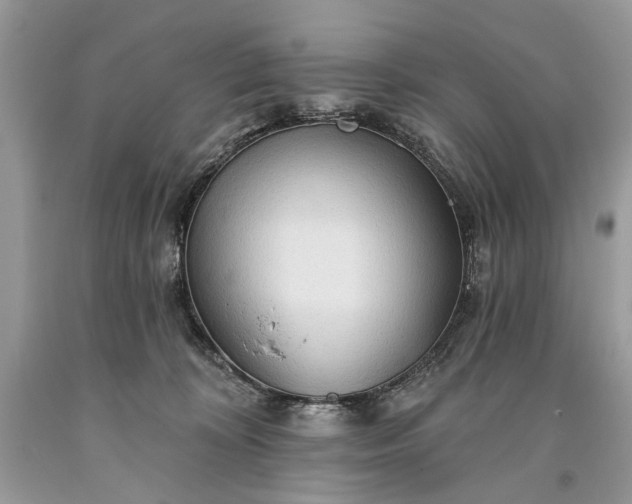 X0000093470324200710261049