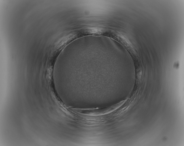 X0000093470325200710261049