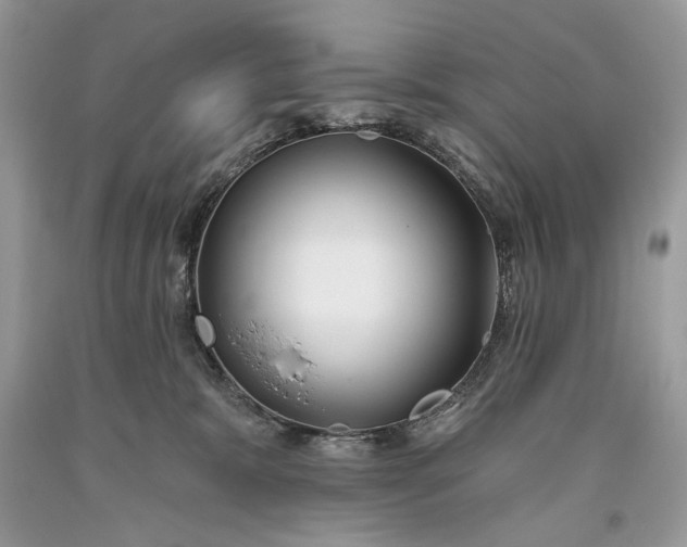 X0000093470327200710261049