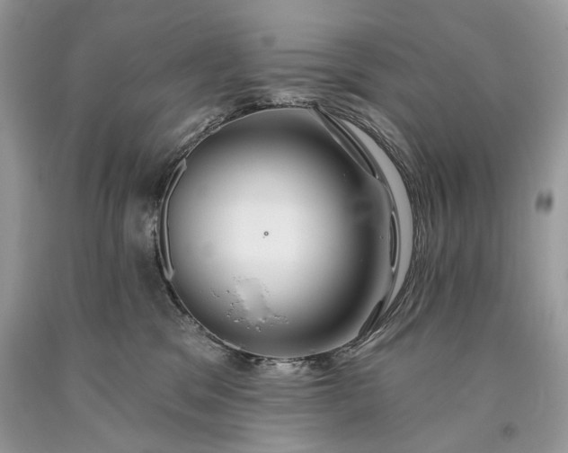 X0000093470329200710261049