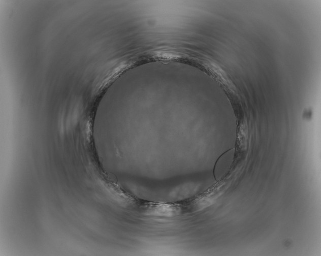 X0000093470330200710261049