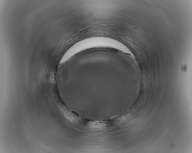 X0000093470331200710261049