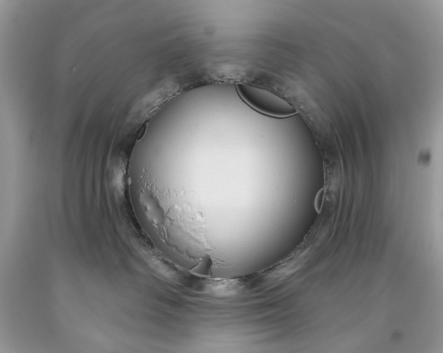 X0000093470334200710261048