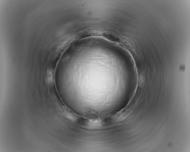 X0000093470335200710261048