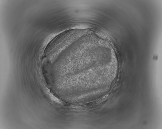 X0000093470337200710261048