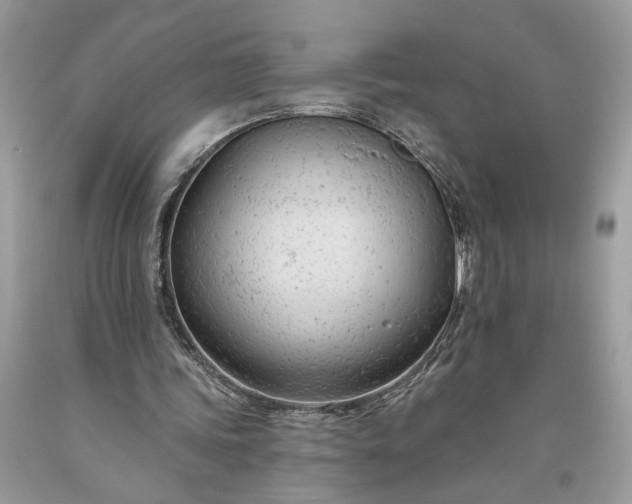 X0000093470339200710261048