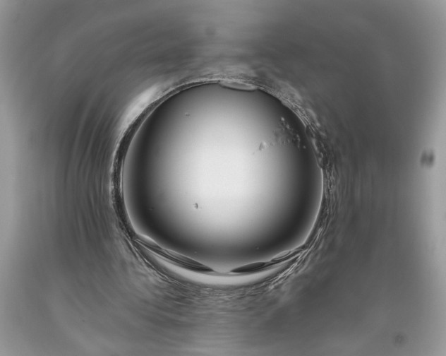 X0000093470340200710261048