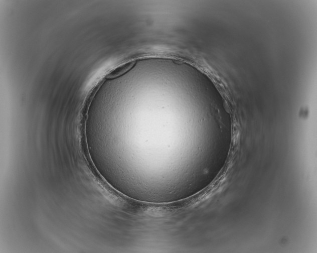 X0000093470341200710261048