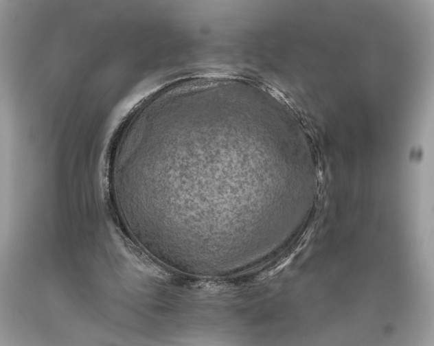 X0000093470343200710261048