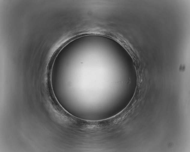 X0000093470344200710261048