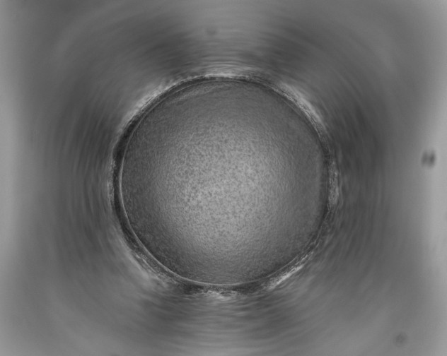 X0000093470346200710261048