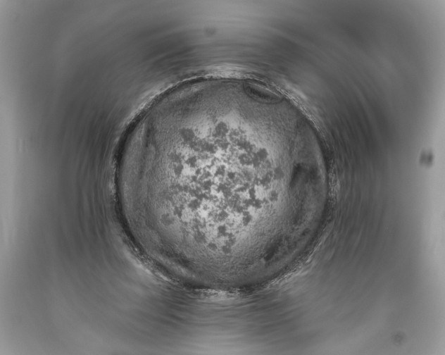 X0000093470347200710261048