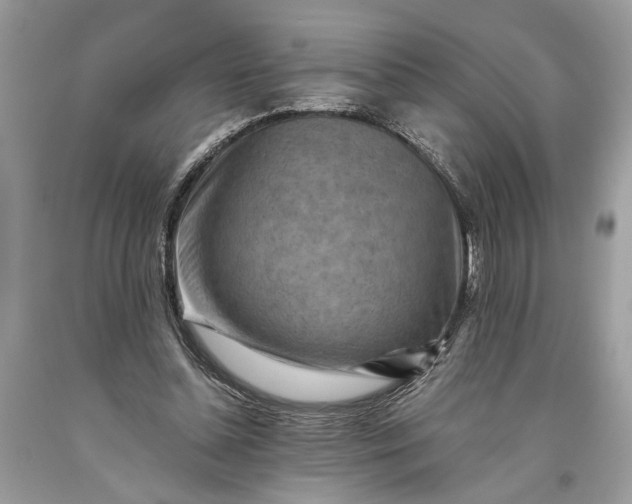 X0000093470348200710261048