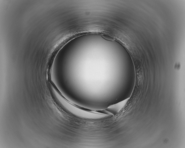 X0000093470350200710261048