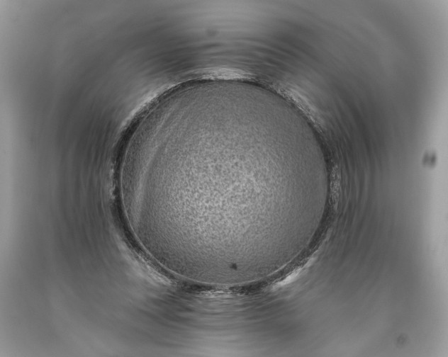 X0000093470351200710261048