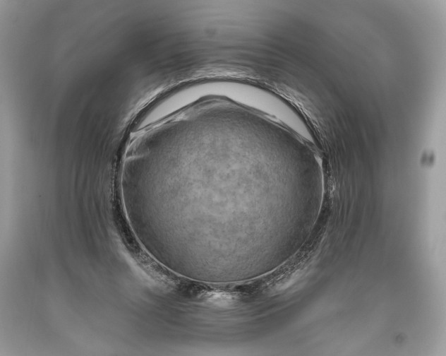 X0000093470352200710261048