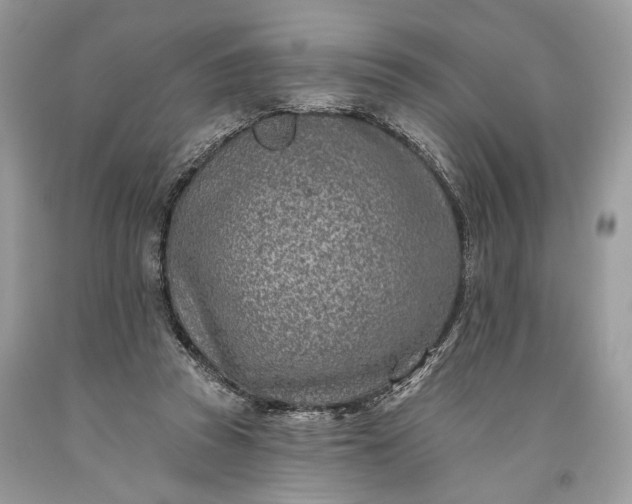 X0000093470353200710261048