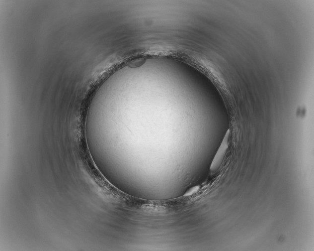 X0000093470354200710261048