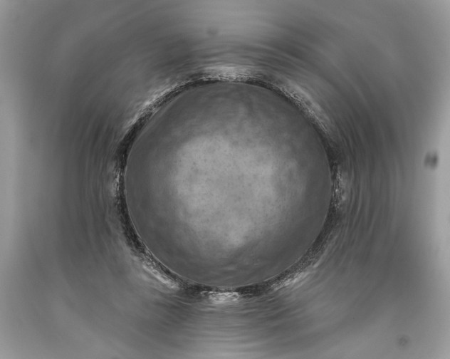 X0000093470355200710261048