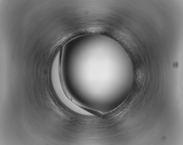 X0000093470356200710261048