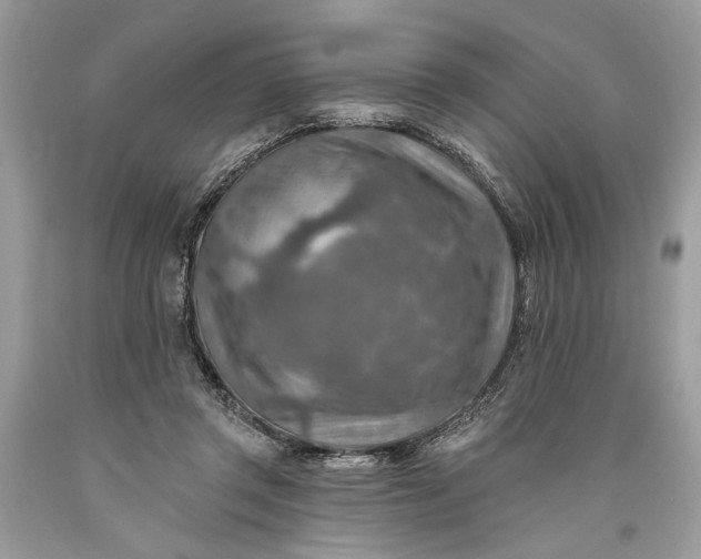 X0000093470357200710261048