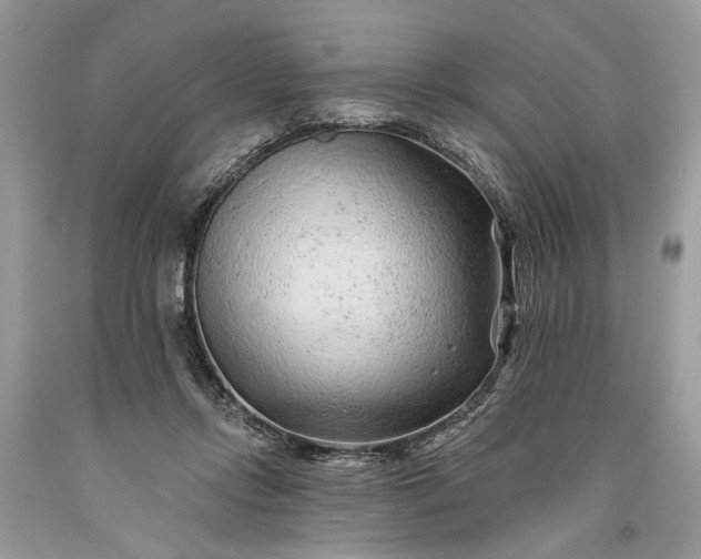 X0000093470358200710261048