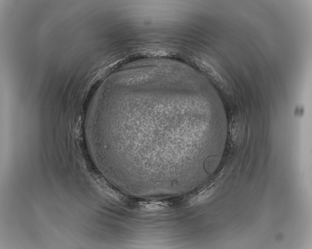 X0000093470359200710261048