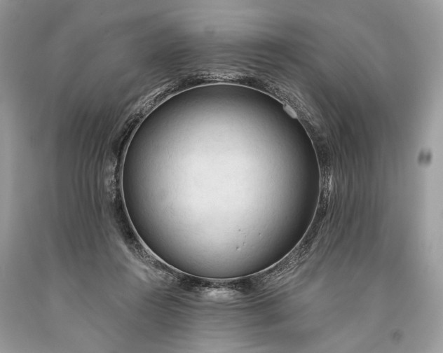 X0000093470360200710261048