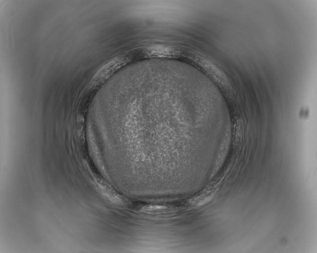 X0000093470361200710261048