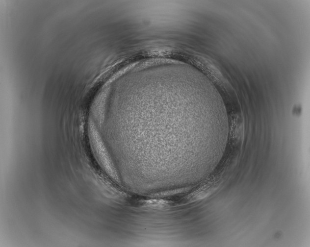 X0000093470363200710261048