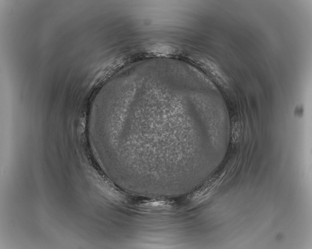 X0000093470365200710261048