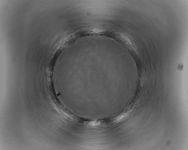 X0000093470366200710261048