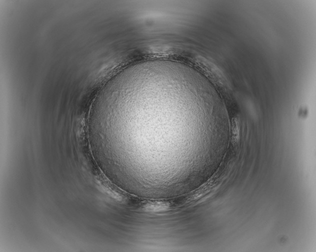 X0000093470369200710261048