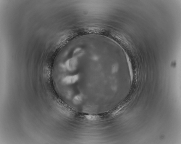 X0000093470371200710261048