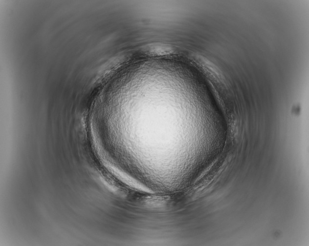 X0000093470373200710261048