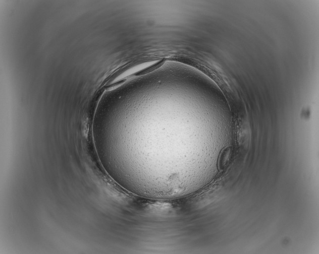 X0000093470374200710261048