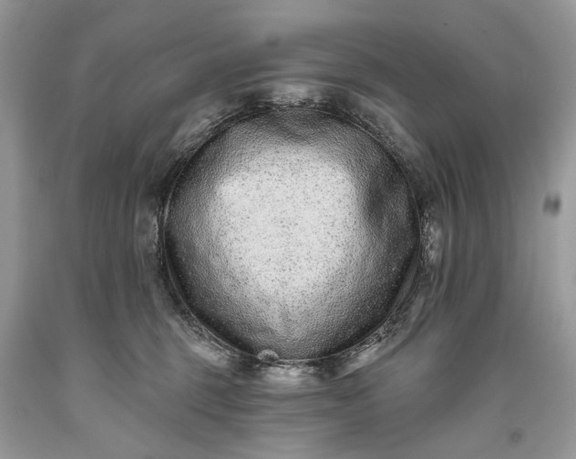 X0000093470375200710261048