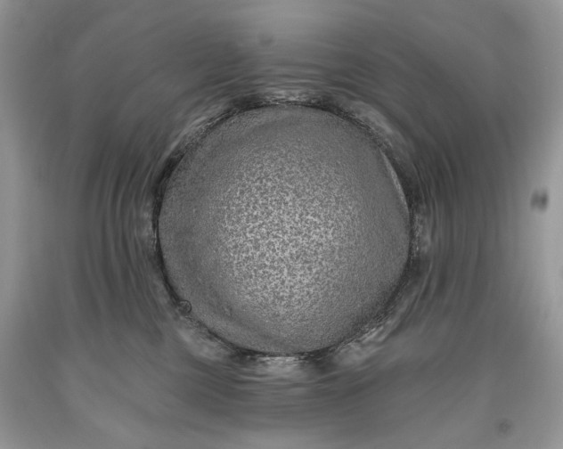 X0000093470377200710261048